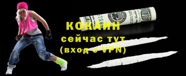 PSILOCYBIN Вяземский