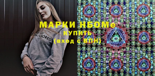 прущие крисы Бородино
