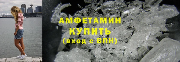 прущие крисы Бородино