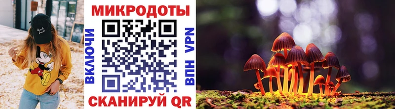 как найти   Жигулёвск  Псилоцибиновые грибы GOLDEN TEACHER 